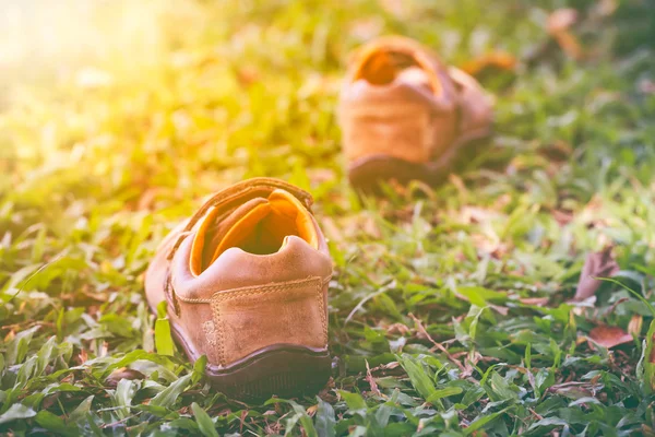 Fechar-se de um par de sapatos de couro na grama verde com luz solar brilhante — Fotografia de Stock