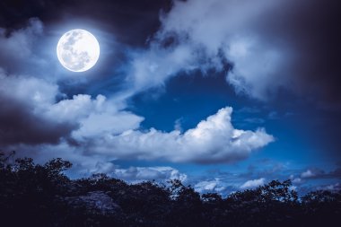 Ağaç ve gece gökyüzü bulutlu, parlak dolunay siluetleri.