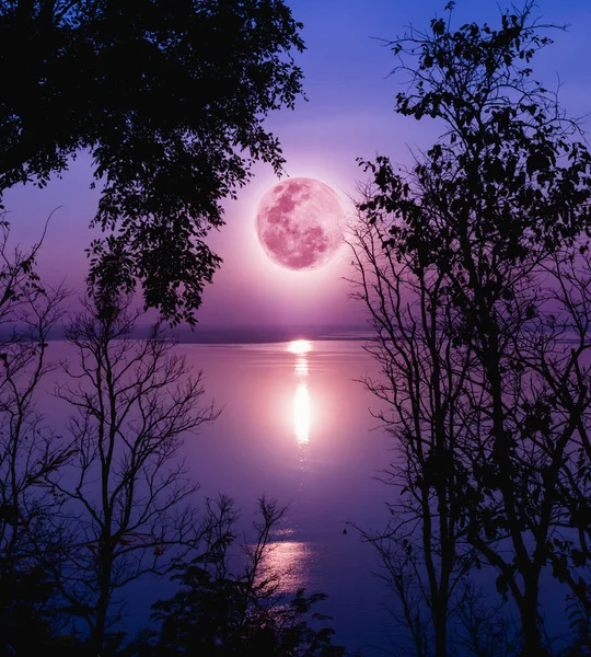 Silhouettes of woods and beautiful moonrise, bright full moon.