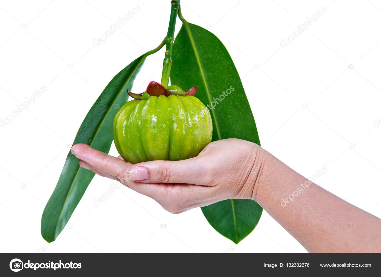 8 Treasure Diet Pills Philippines 8 treasure diet pills philippines