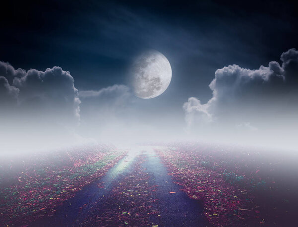 Beautiful pathway path to tranquil nighttime sky. Attractive photo of a nightly sky with large moon would make a great background. Idyllic rural view of pretty surroundings.