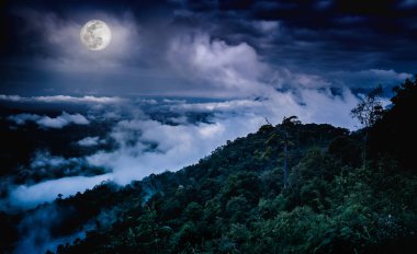 Yatay Milli Park, orman gökyüzü ve bulutlar karşı. 