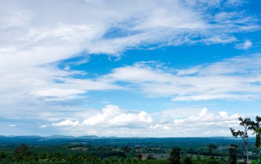 Ağaçlar ve gökyüzü ile güzel manzara. Yaz günü açık.