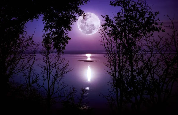 Sziluettek, erdők és gyönyörű moonrise, fényes full moon jaj — Stock Fotó