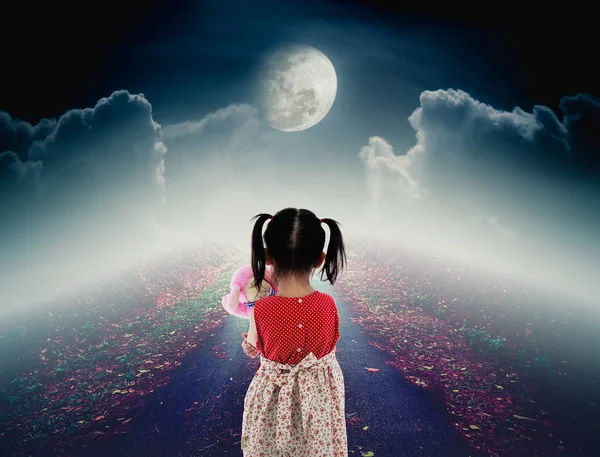 Вид ззаду самотня дитина з ляльковим сумним жестом на стежці з нічним небом — стокове фото