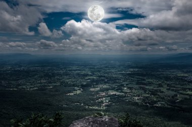 Taze yeşil orman doğa güzel mavi gökyüzü ve bulutlu.