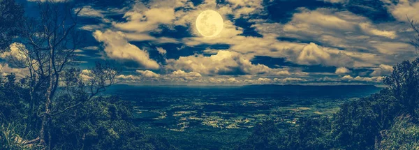 Панорама дерева і валунів проти нічного неба з хмарною . — стокове фото