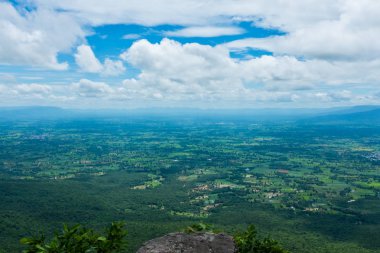 Taze yeşil orman doğa güzel mavi gökyüzü ve bulutlu 