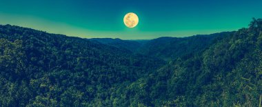 Milli Parkı, gökyüzü ve dolunay karşı orman manzara Panoraması.