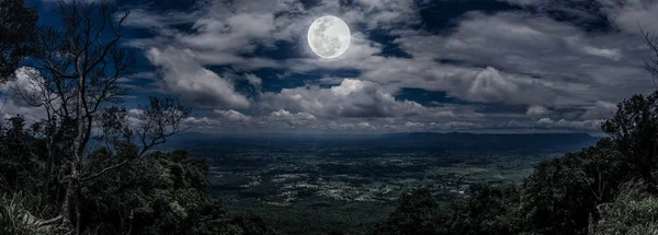 全景图的树和巨石对夜间天空多云. — 图库照片