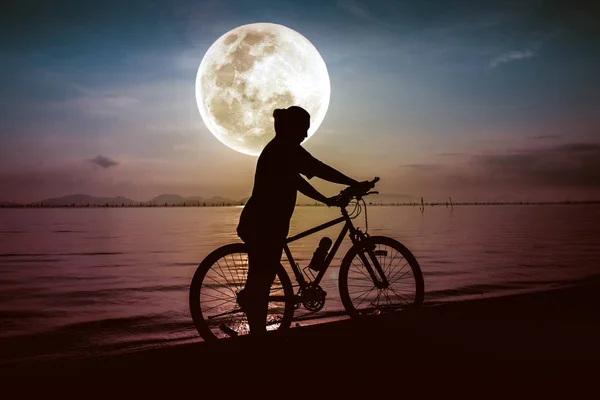 海辺で景色を楽しみながら自転車のシルエット。アウトドア. — ストック写真