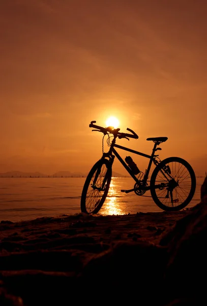 Silhueta de bicicleta na praia contra o pôr do sol colorido em th — Fotografia de Stock