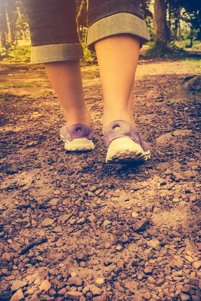 Vista posterior de la mujer caminando ejercicio, concepto de salud, al aire libre . —  Fotos de Stock