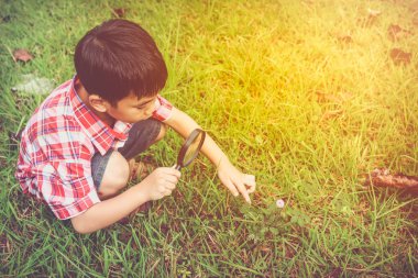 Genç çocuk doğa büyüteç ile keşfetmek. Açık havada gündüzleri yaz gününde.