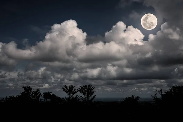 Siluete de copac și cer pe timp de noapte cu nori, lună plină strălucitoare — Fotografie, imagine de stoc