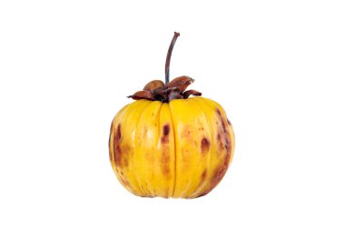 Garcinia cambogia meyve, üzerinde beyaz izole. Meyve diyet için 