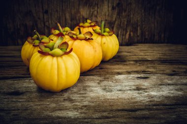 Ahşap arka plan üzerinde Garcinia cambogia taze meyve. Meyve diyet için.