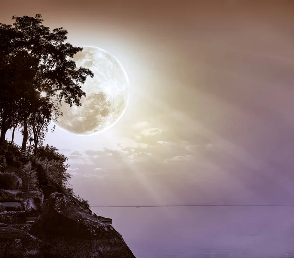 Silhouettes of tree against sky over tranquil sea. — Stock Photo, Image