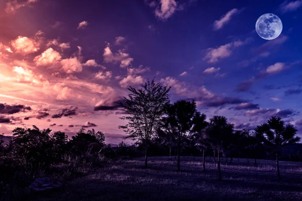 Elleni ég, a felhők és a gyönyörű telihold alatt a nyugodt természetben fák. — Stock Fotó
