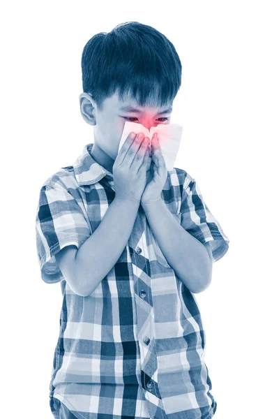 Asiatischer Junge mit Gewebe, um Rotz zu wischen. Kind mit Allergie-Symptom — Stockfoto