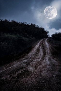 Güzel dolunay bir orman yoluyla çamurlu bir yol ile doğa manzara. 