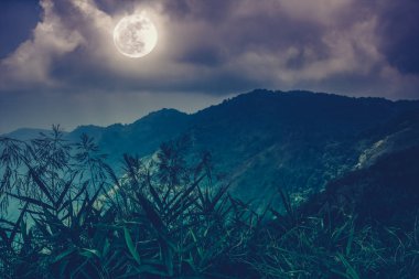 Dağ doruklarına gökyüzü ve güzel dolunay ile.