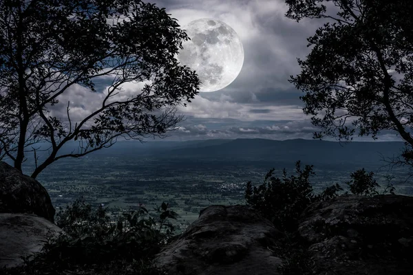 Silueta las ramas de los árboles con luna llena sobre un fondo de naturaleza tranquila . — Foto de Stock