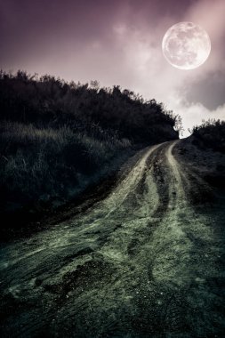 Güzel dolunay bir orman yoluyla çamurlu bir yol ile doğa manzara. 