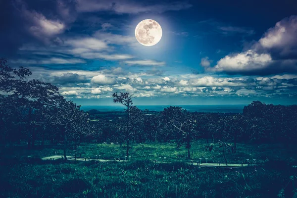 Silhuetas de árvores contra céu noturno com nuvens e lua cheia brilhante . — Fotografia de Stock