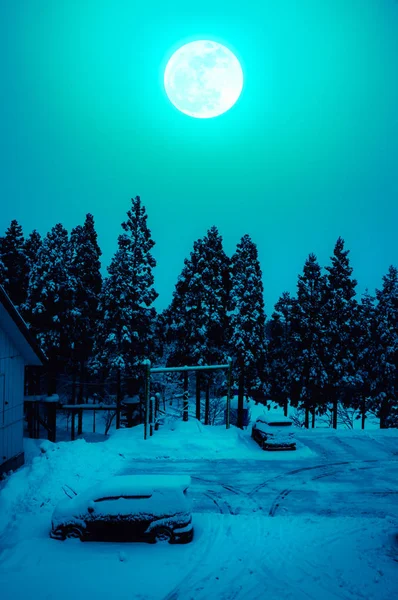 Snow covered the ground in winter. Silhouette of dry trees and full moon.