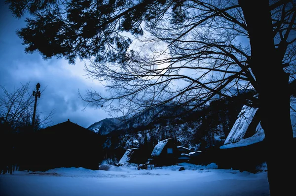 Snow covered the ground in winter. Silhouette of dry trees and full moon.