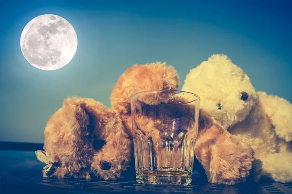 Nounours couple alcoolique très ivre et dormir avec verre vide — Photo