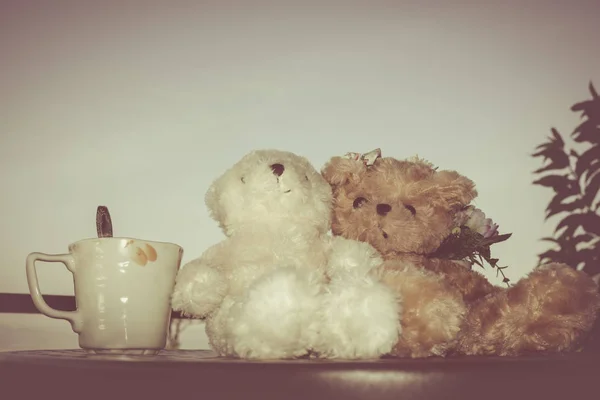 Concept teddy bears couple with love and relationship for valenttine day. — Stock Photo, Image