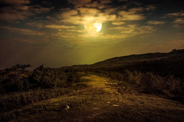 Пейзаж в природі красивого повного Місяця за хмарою і проїжджою частиною лісу . — стокове фото