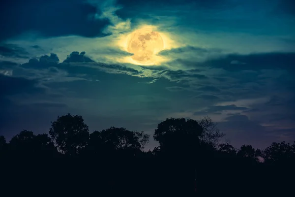 Landscape of trees against night sky with full moon behind cloud — Stock Photo, Image