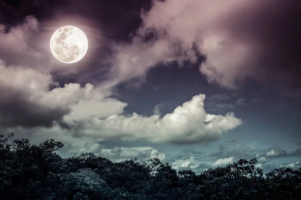 ツリーと夜間空雲、明るい満月のシルエット. — ストック写真
