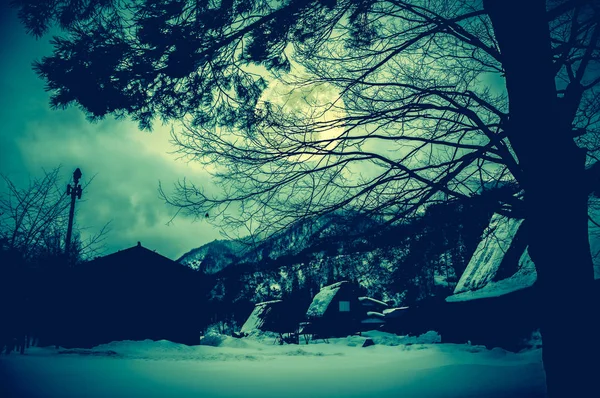 La neige recouvrait le sol en hiver. Silhouette d'arbres secs et pleine lune . — Photo