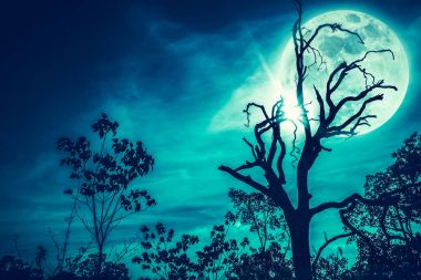 Siluet ölü ağacın arkasında parlak süper moon ile gökyüzünün gece manzarası