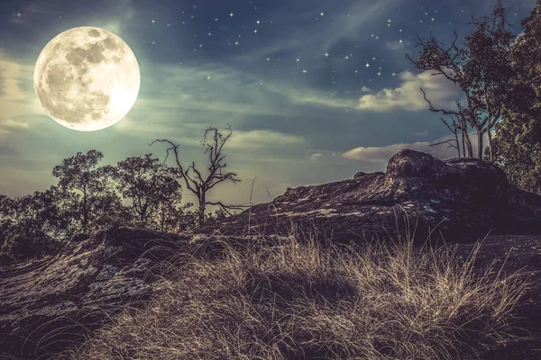 Landschap van de nachtelijke hemel vol sterren en bewolkt. Achtergrond van de natuur. — Stockfoto