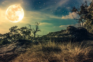 Gece gökyüzü bulutlu ve birçok yıldız ile manzara. Doğa arka plan.