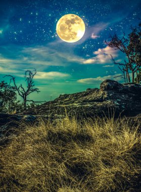 Landscape of night sky with many stars above wilderness. Cross process. clipart