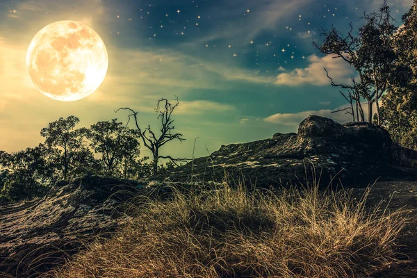 Gece gökyüzü bulutlu ve birçok yıldız ile manzara. Doğa arka plan.