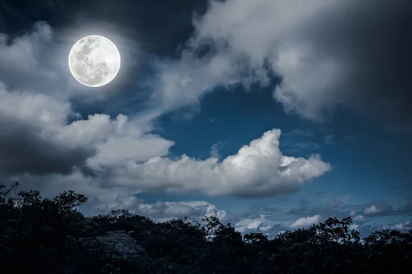Silhuetas de árvore e céu noturno com nuvens, lua cheia brilhante, fundo da natureza . — Fotografia de Stock
