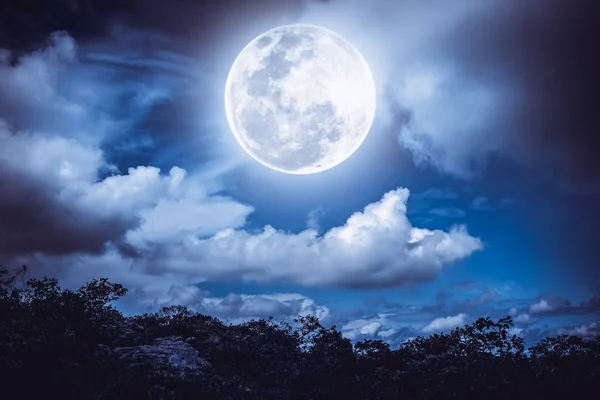 A fa és a éjszaka ég, felhők, fényes harvest moon sziluettek. — Stock Fotó