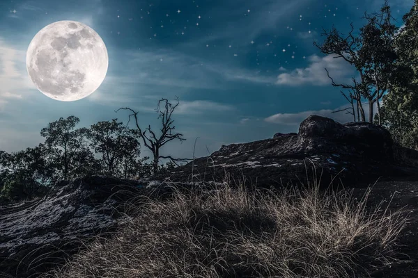 Paesaggio del cielo notturno con molte stelle e nuvoloso. Sfondo della natura . — Foto Stock