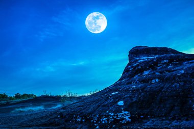 Manzara mavi gökyüzü ve dolunay vahşi alanı ormandaki üzerindeki kayaya. 