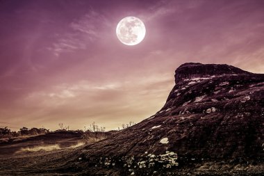 Gökyüzü ve dolunay vahşi alanı ormandaki üzerindeki kayaya peyzaj. 