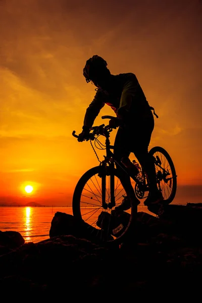 健康的なライフ スタイル。海辺で自転車に乗って自転車のシルエット. — ストック写真