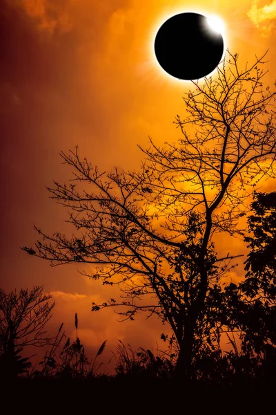 Fenômeno natural científico incrível. Eclipse solar total brilhando no céu laranja acima da silhueta de árvores na floresta . — Fotografia de Stock