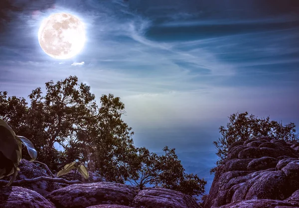 Paisaje de roca contra cielo y luna llena sobre área salvaje en bosque . — Foto de Stock